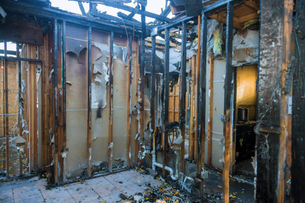 Professional Soot Removal technician working in Ijamsville, MD